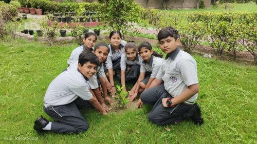 Van Mahotsav